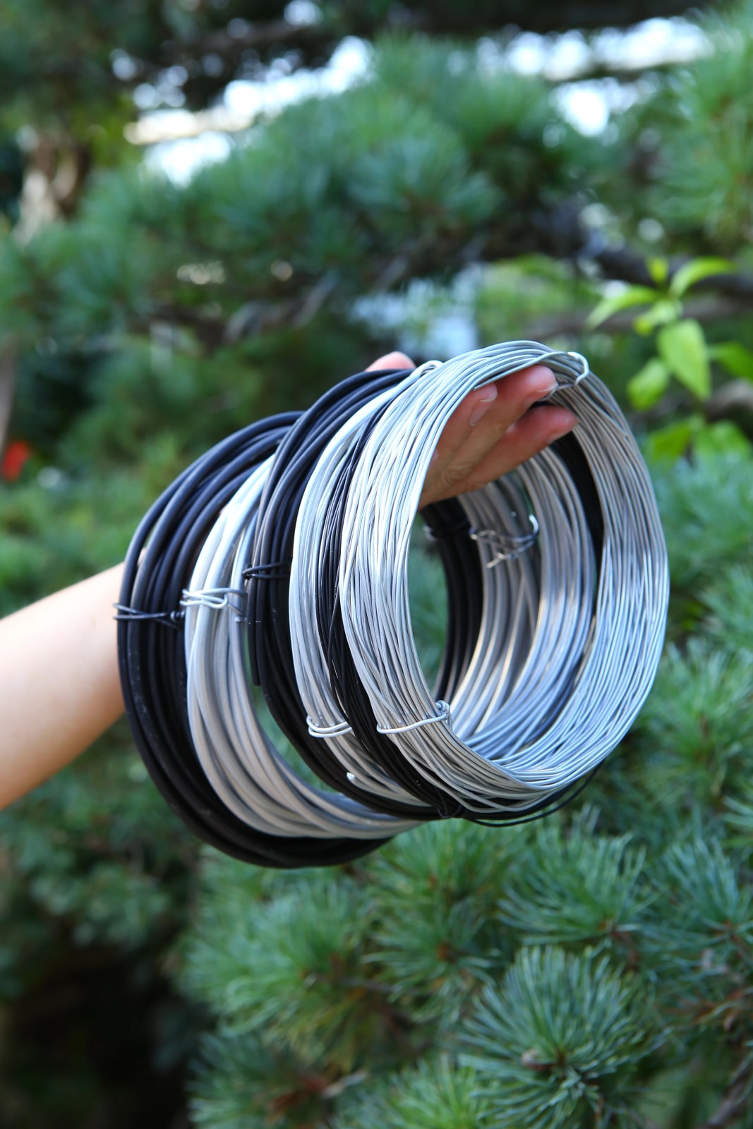 Bonsai Shaping Aluminium Wire photo 3