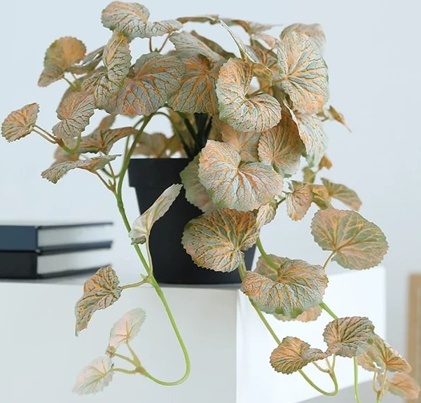 Artificial Trailing Foliage Plant in Pot — Home & Furniture on G+ Market