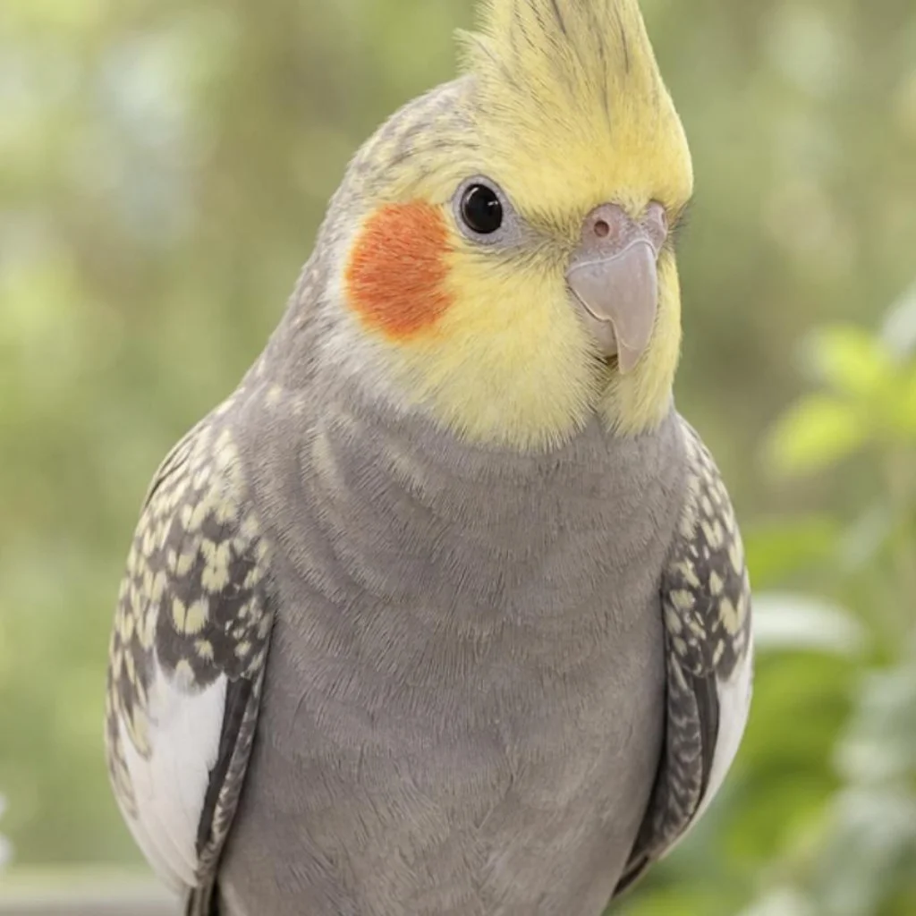 Sunny Delgado