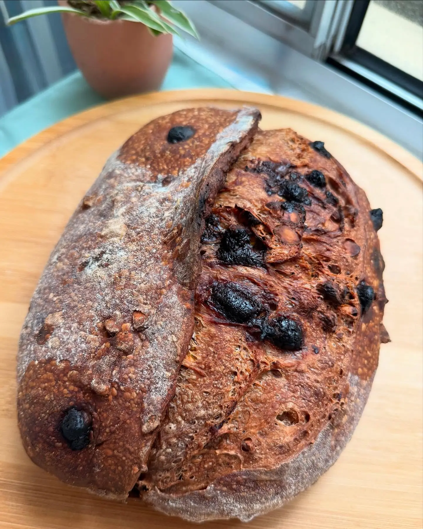 Last week’s fun experiment! 5
