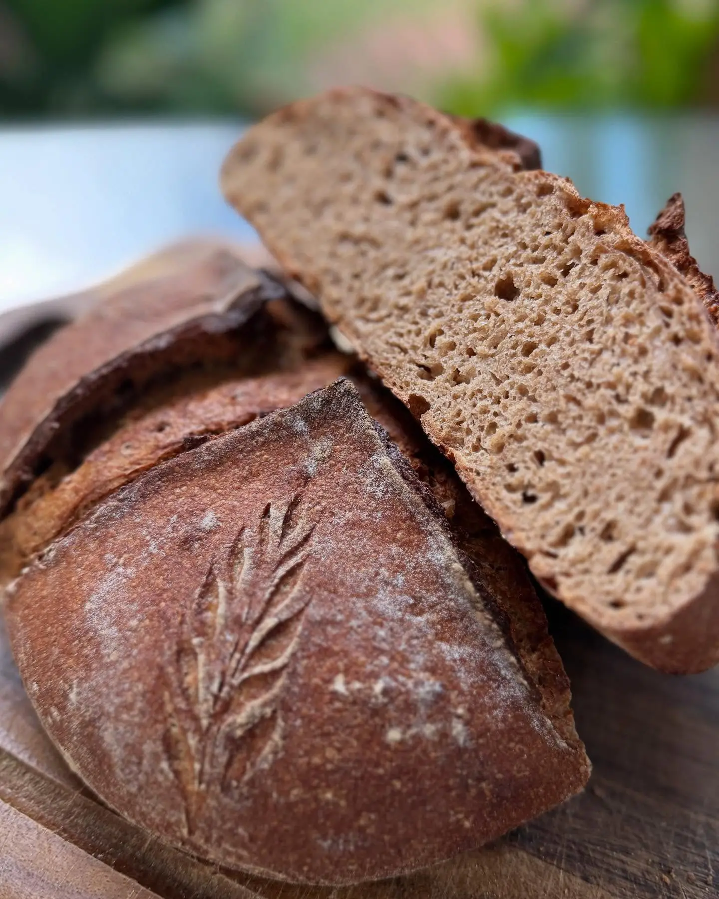 100% Whole Wheat Sourdough 3