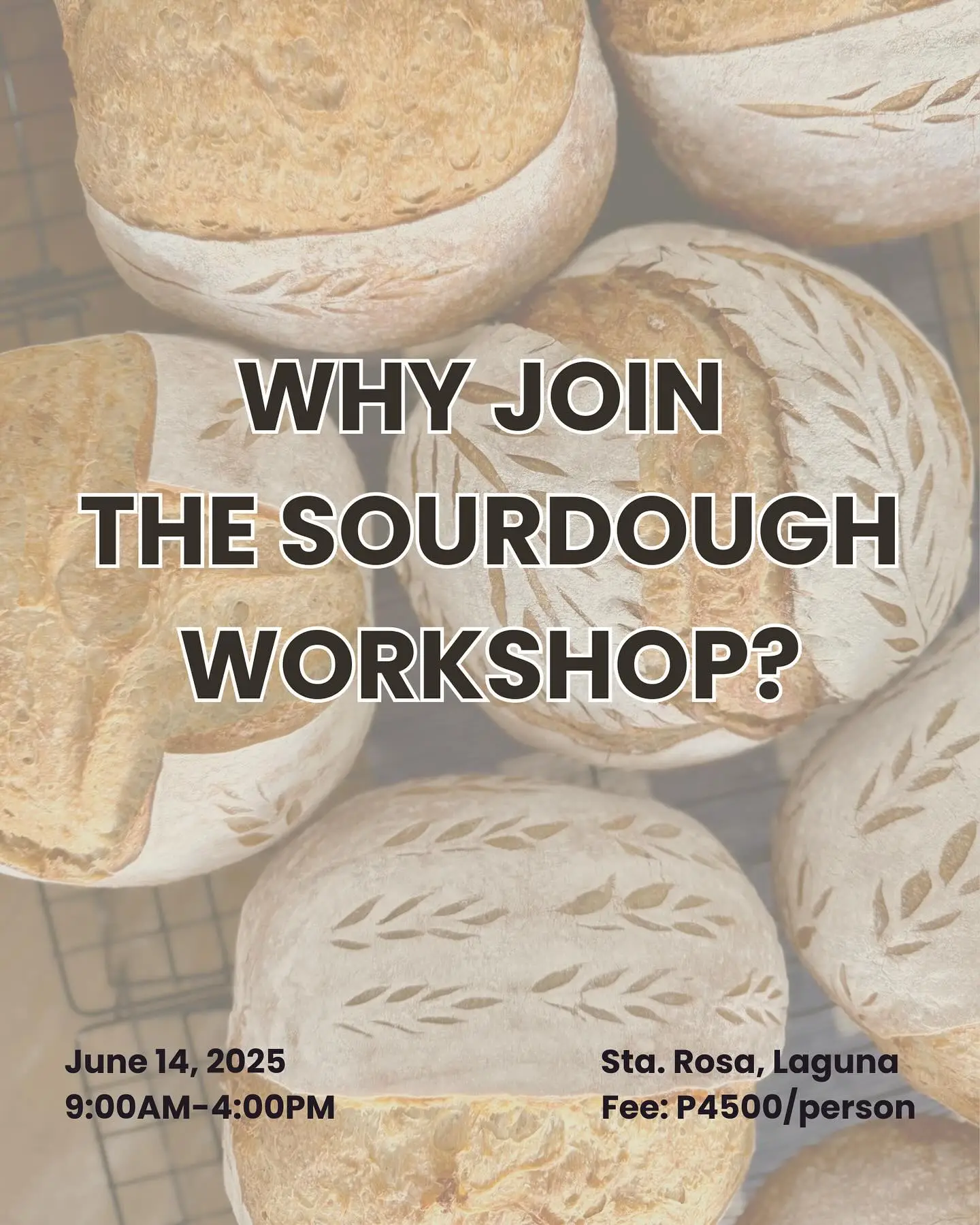 Curious about sourdough? 1