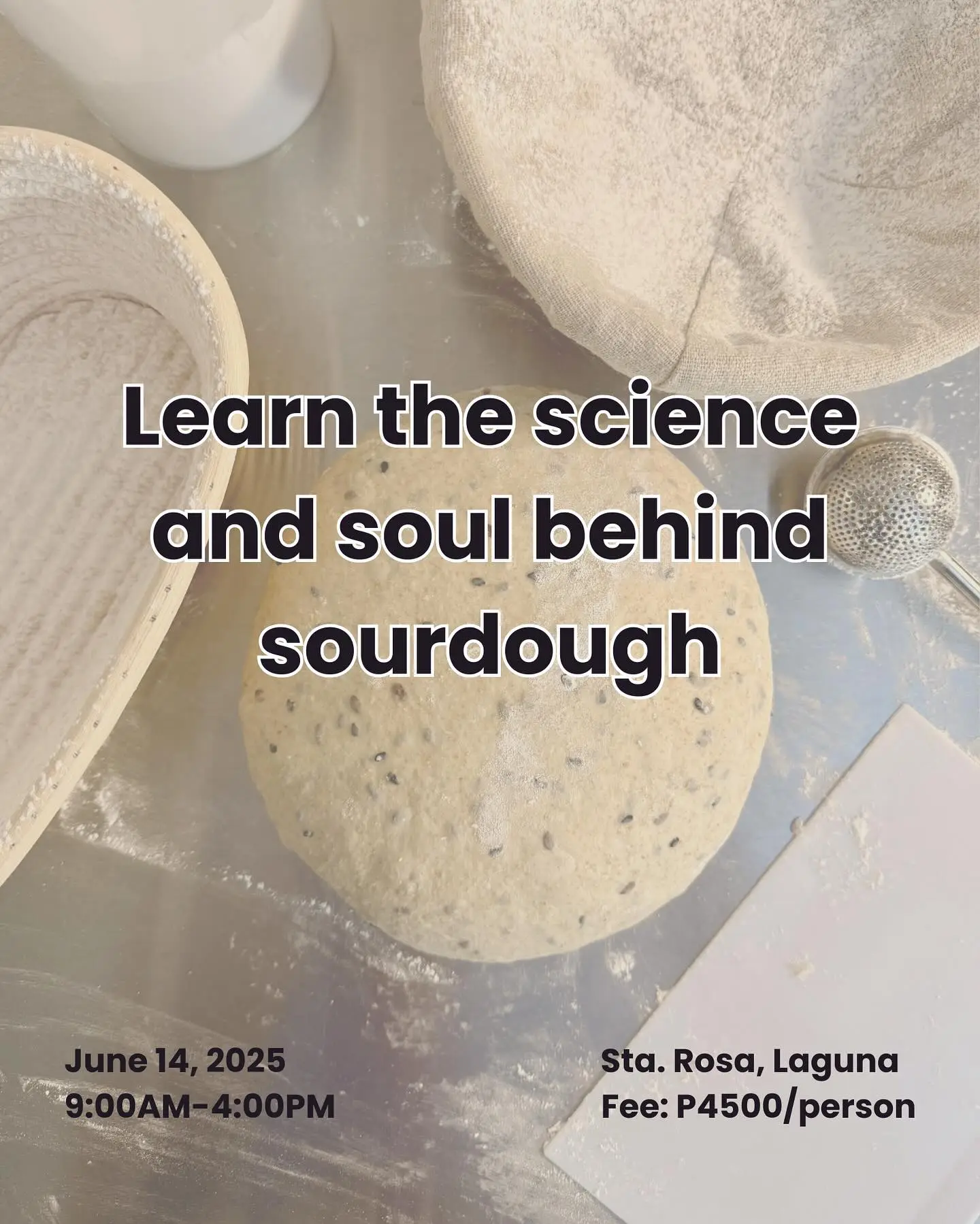 Curious about sourdough? 2