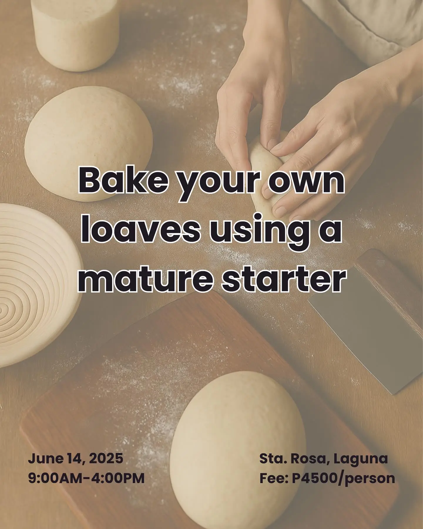 Curious about sourdough? 3