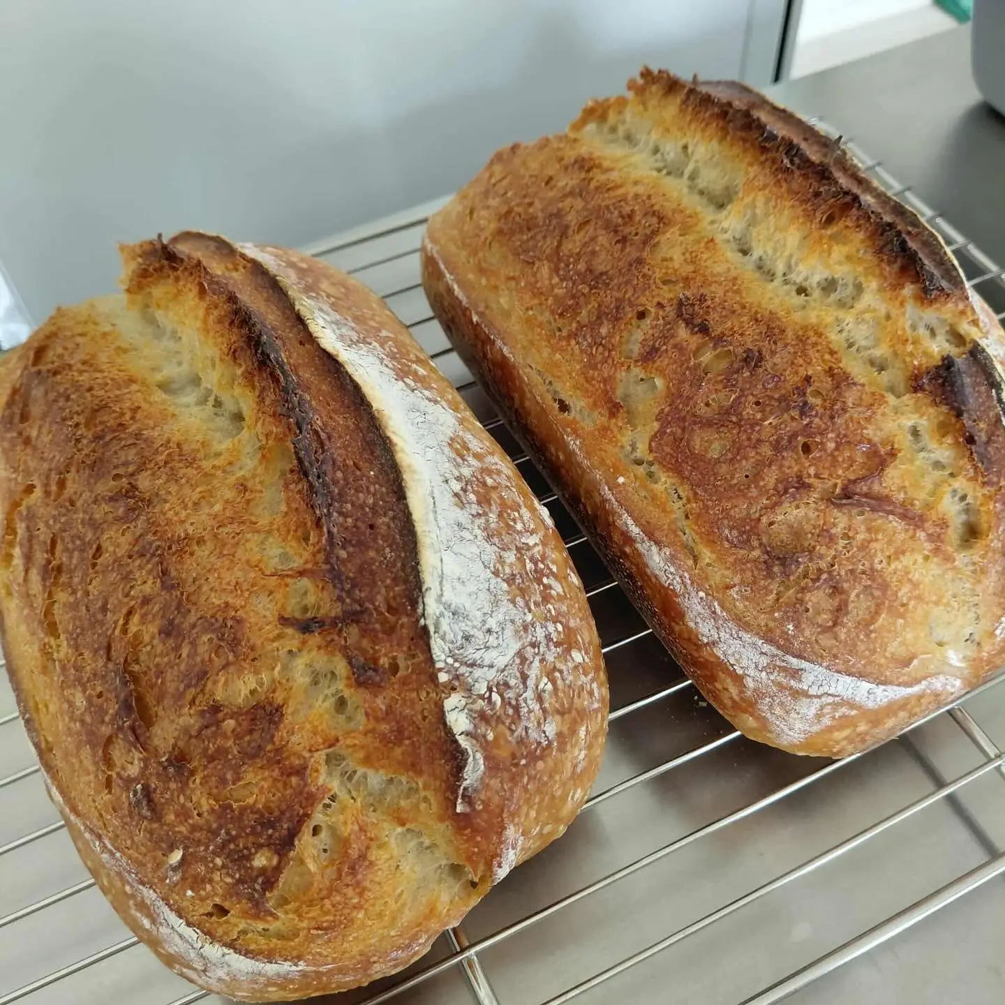 This is why we love hosting sourdough workshops. 1