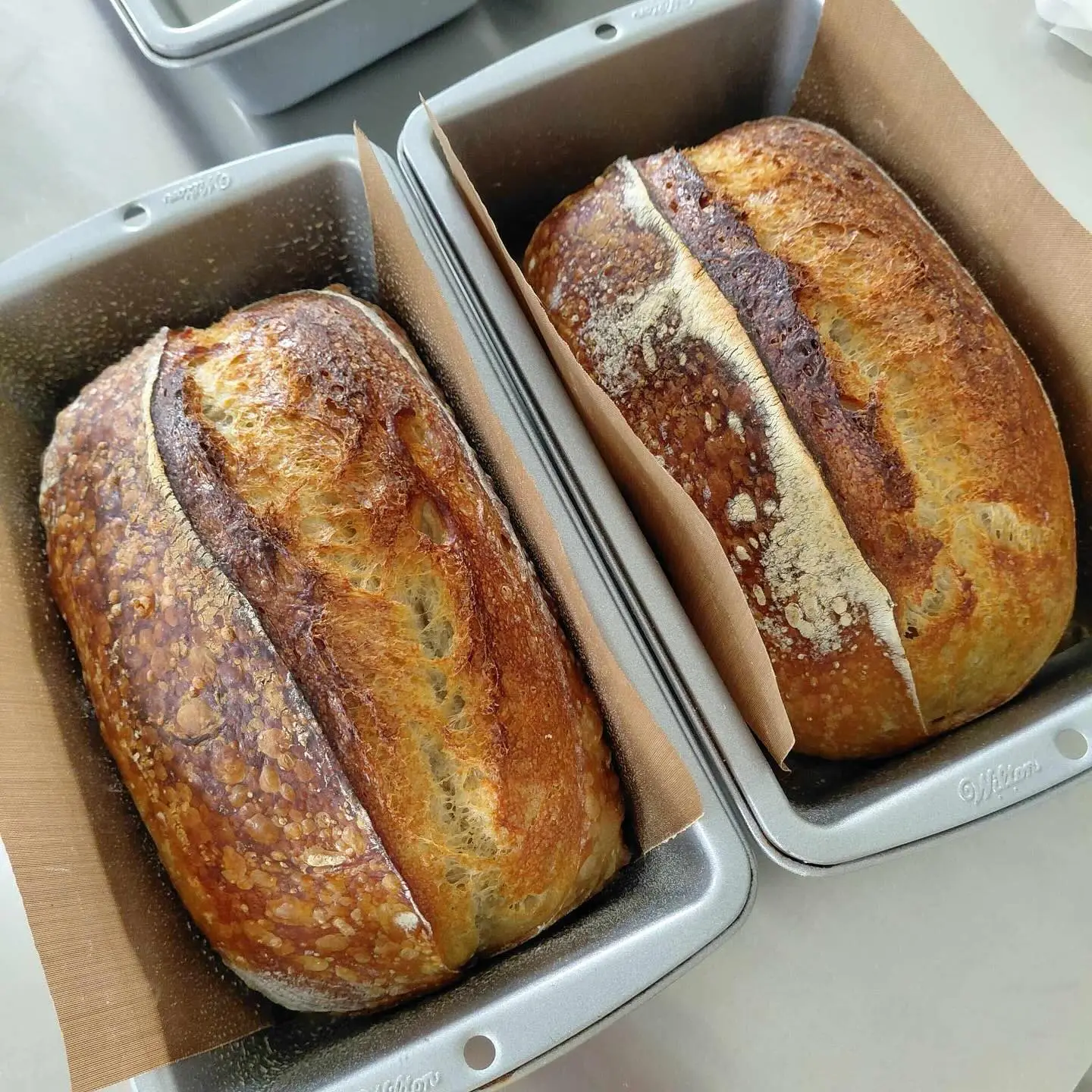 This is why we love hosting sourdough workshops. 3