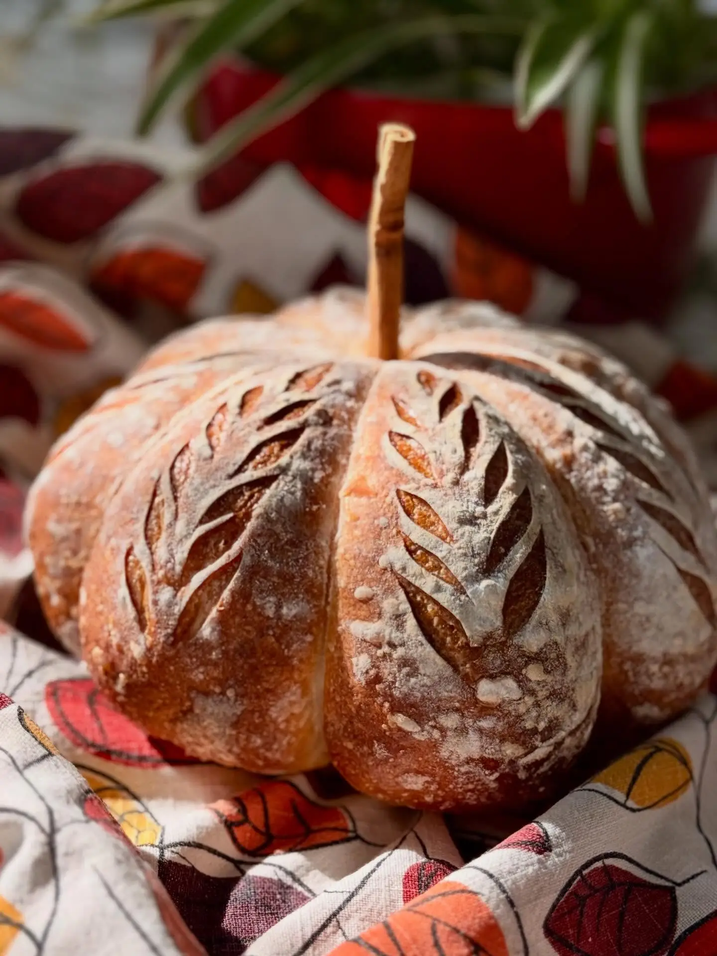 Fresh from the weekend, a little pumpkin-shaped joy. 2