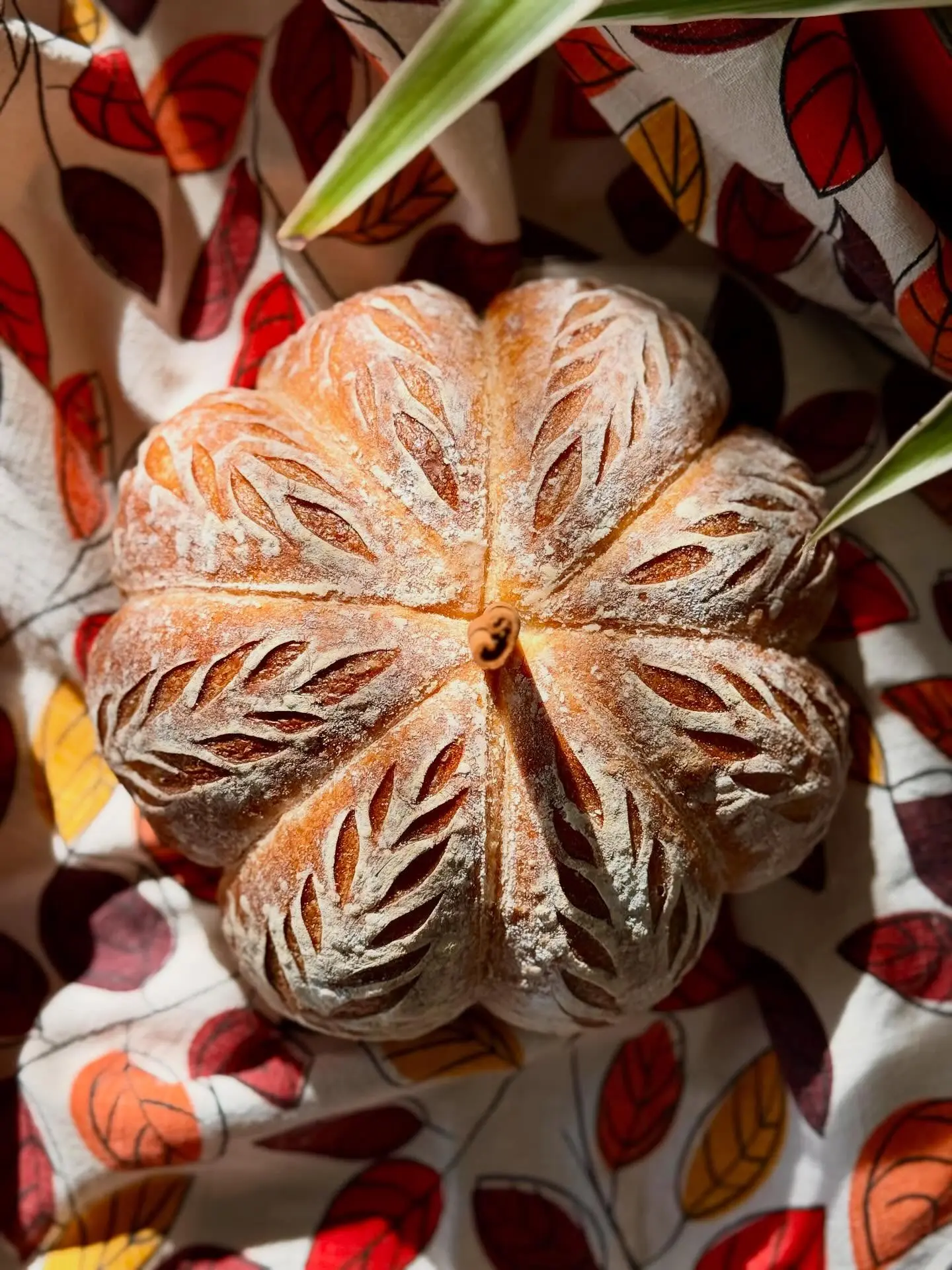 Fresh from the weekend, a little pumpkin-shaped joy. 3