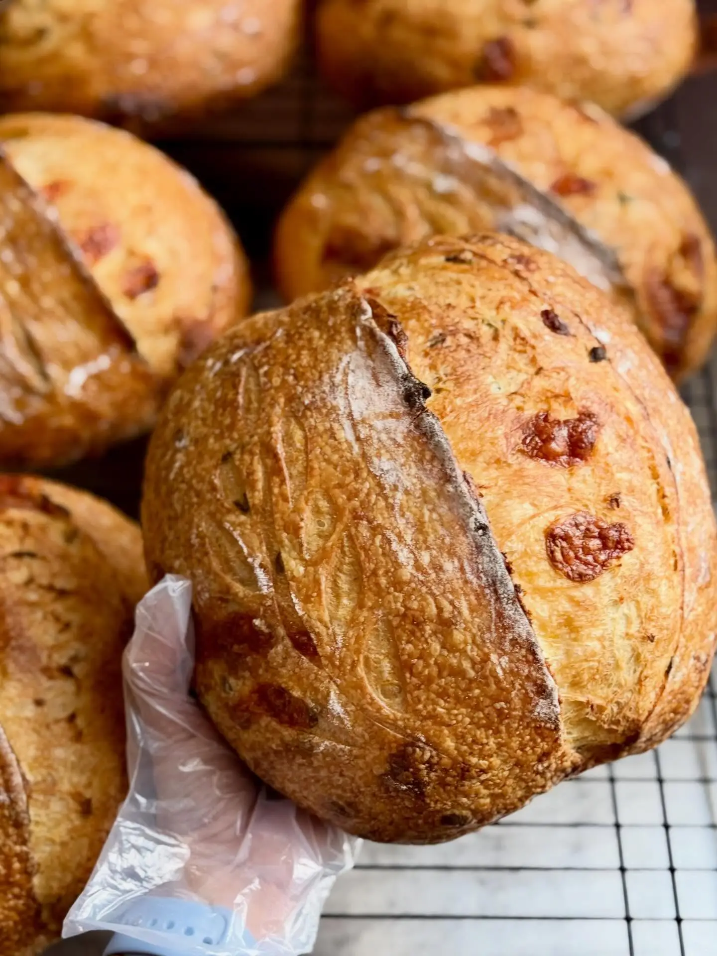 Jalapeño Cheddar Sourdough