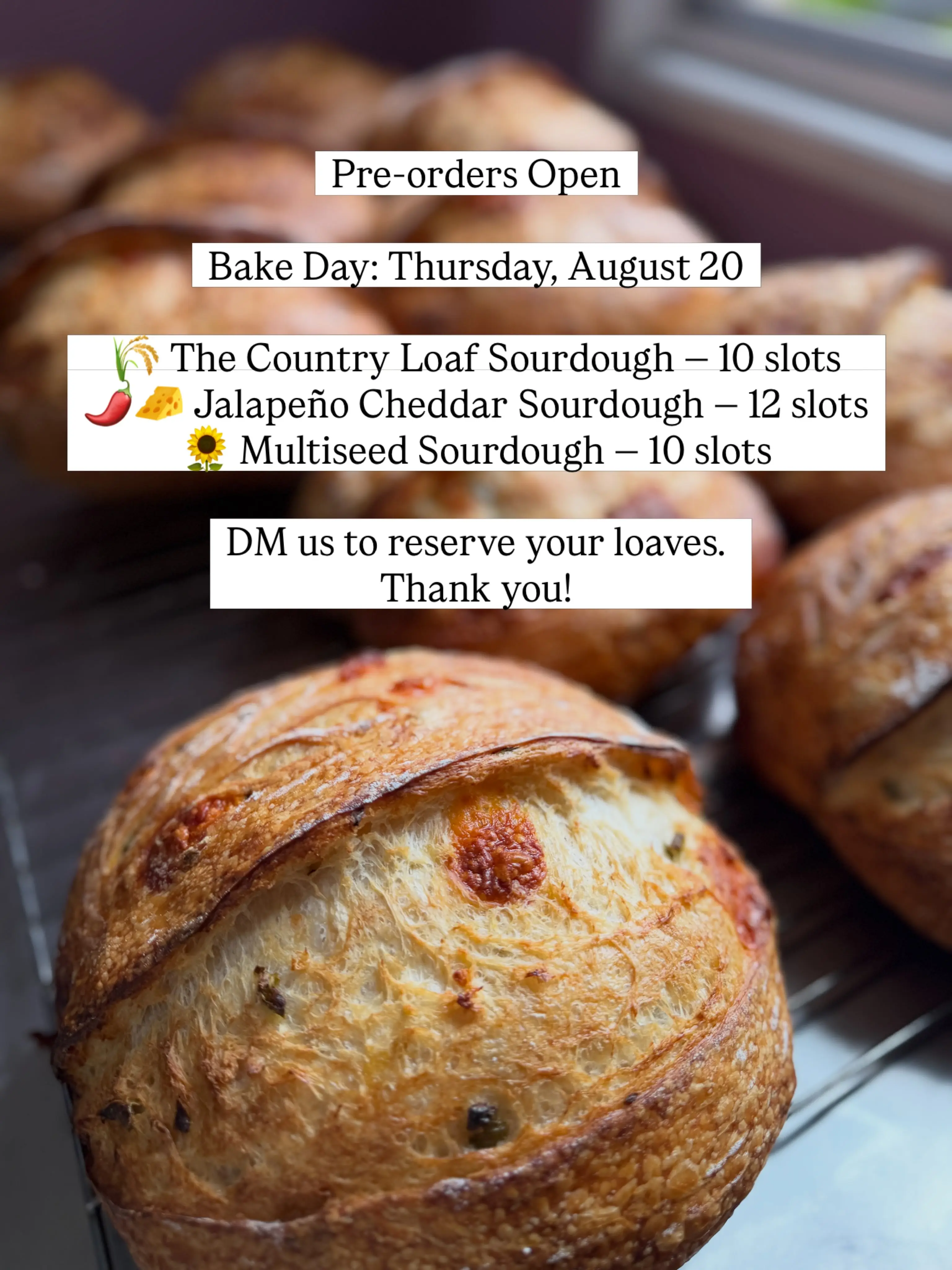 Bake Day Update