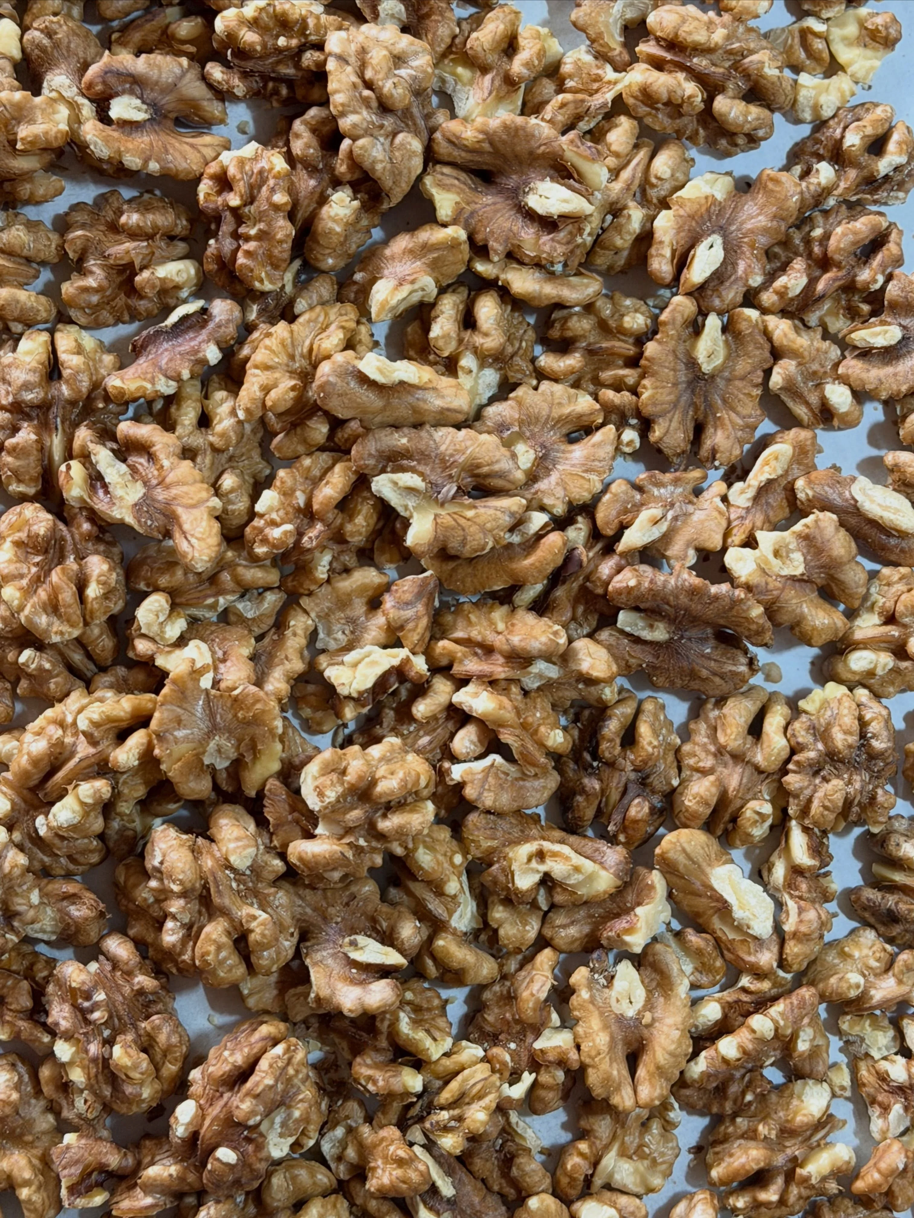 Back in the kitchen refining this Cranberry Walnut loaf! 2