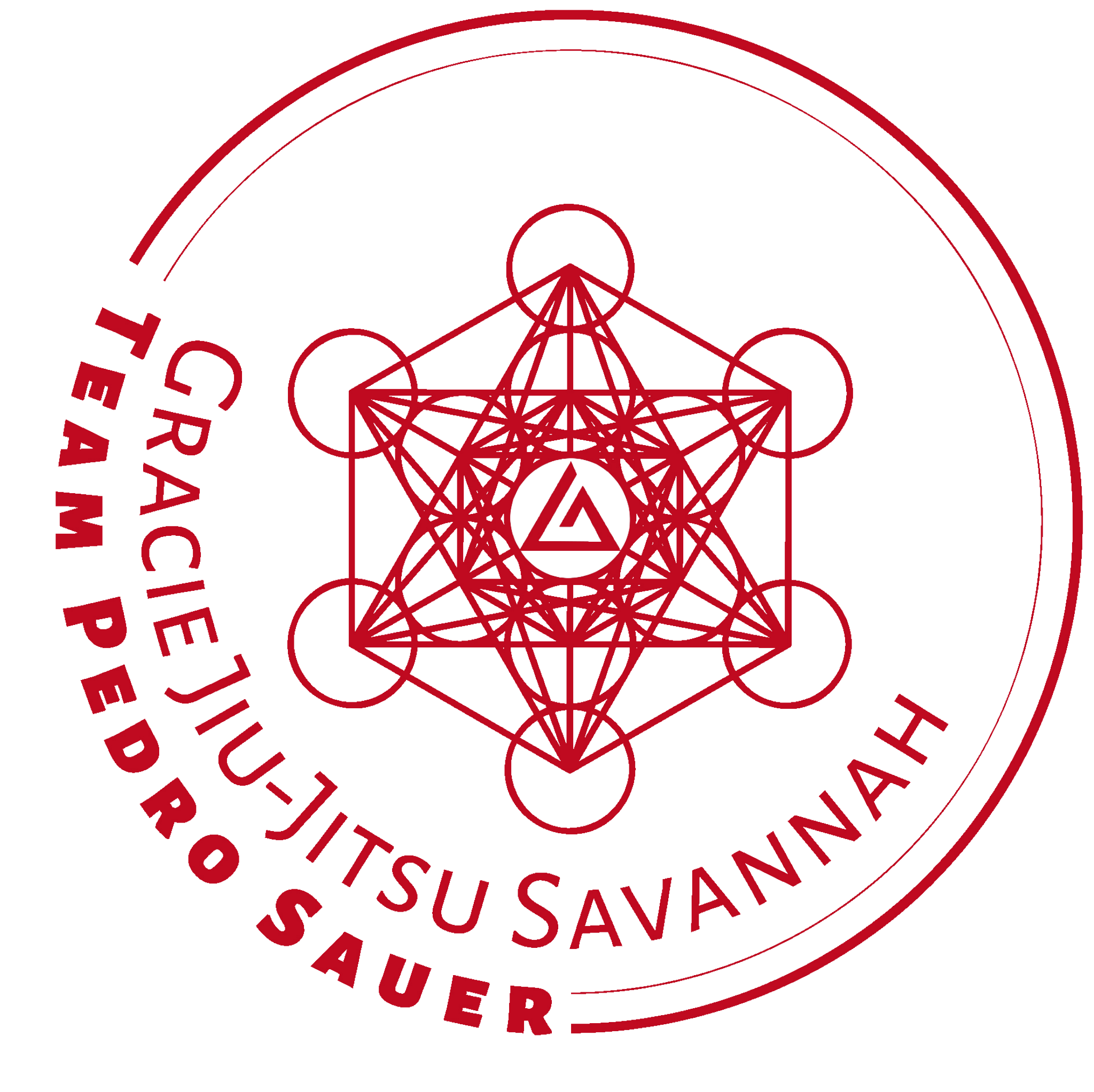 Gracie Jiu-Jitsu Savannah logo