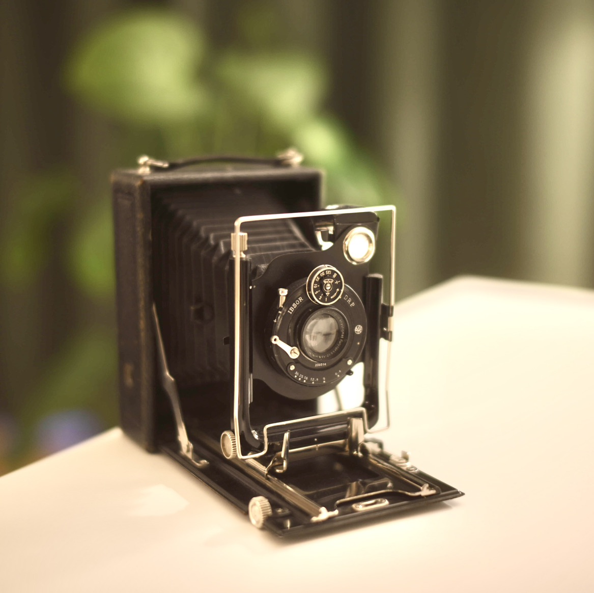 Wachtler Folding Camera