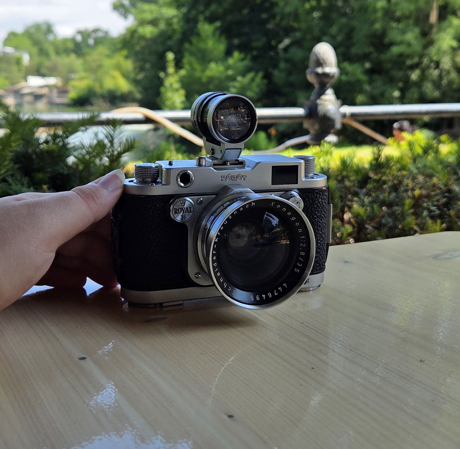 RoBoT Royal 36