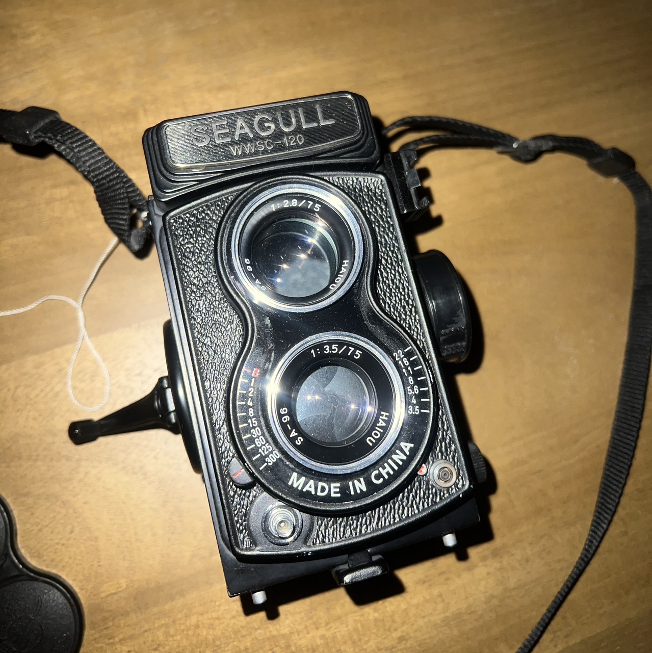 Seagull WWSC-120