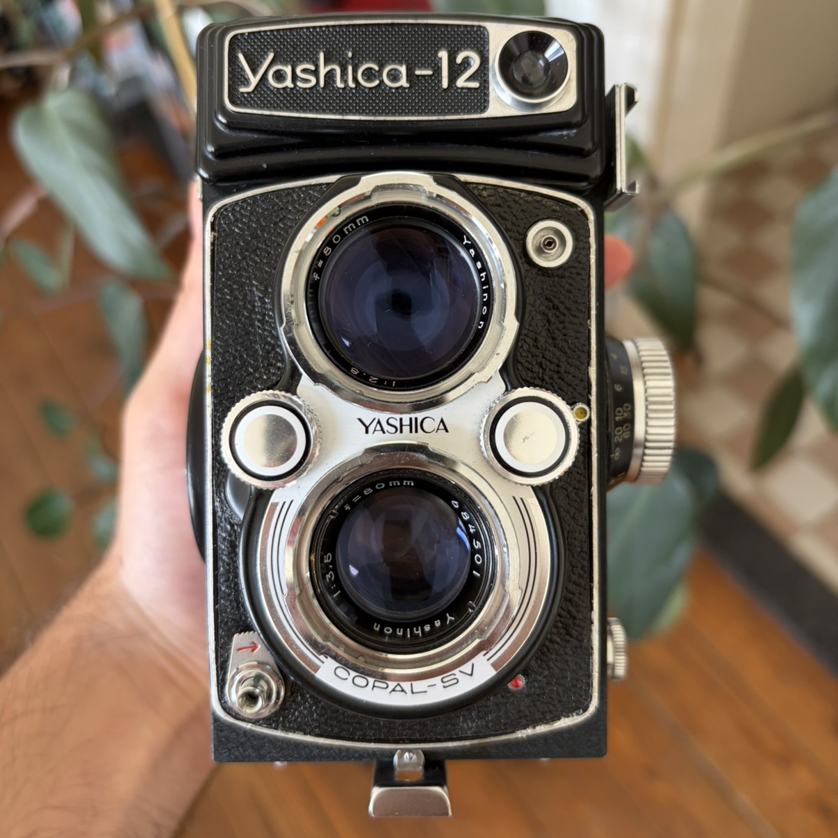 Yashica 12