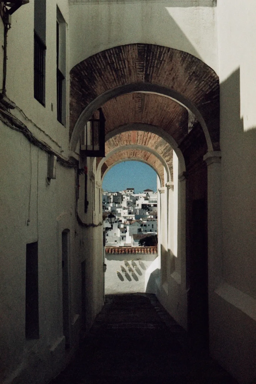 MauroReu
