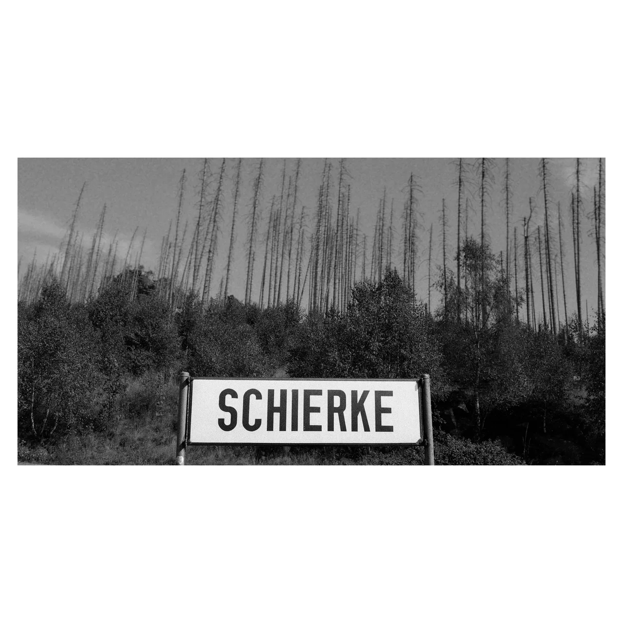 steffengiwtrah
