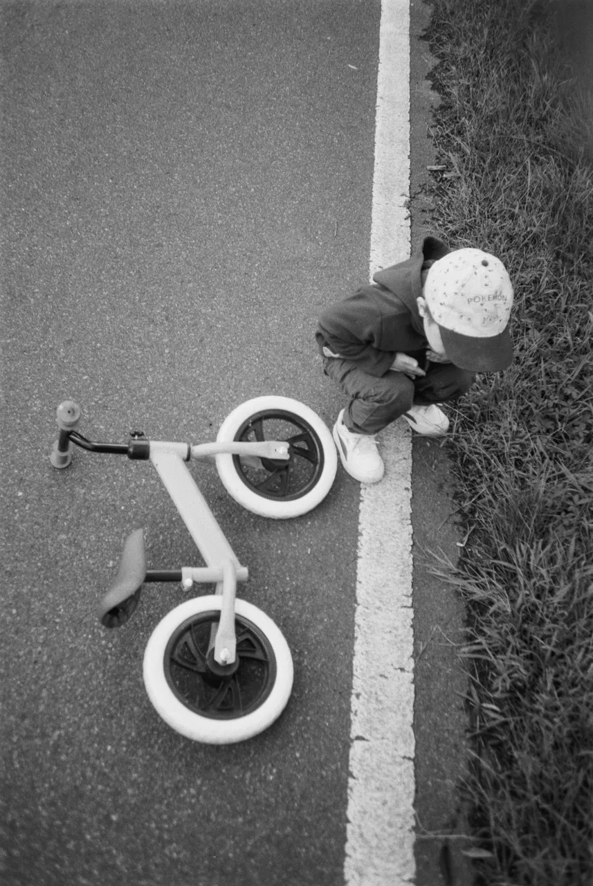 Ivo_400