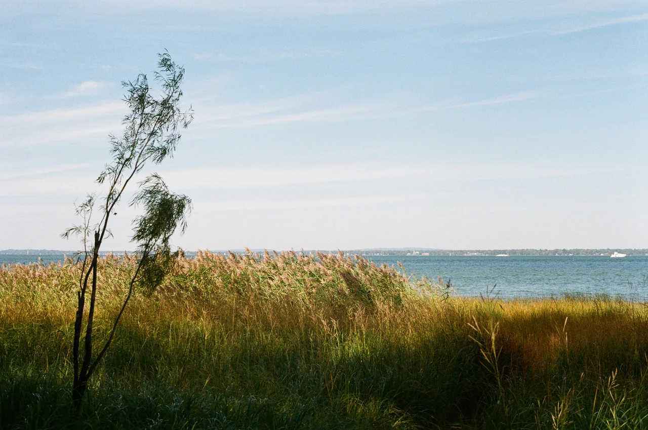 Marine.L