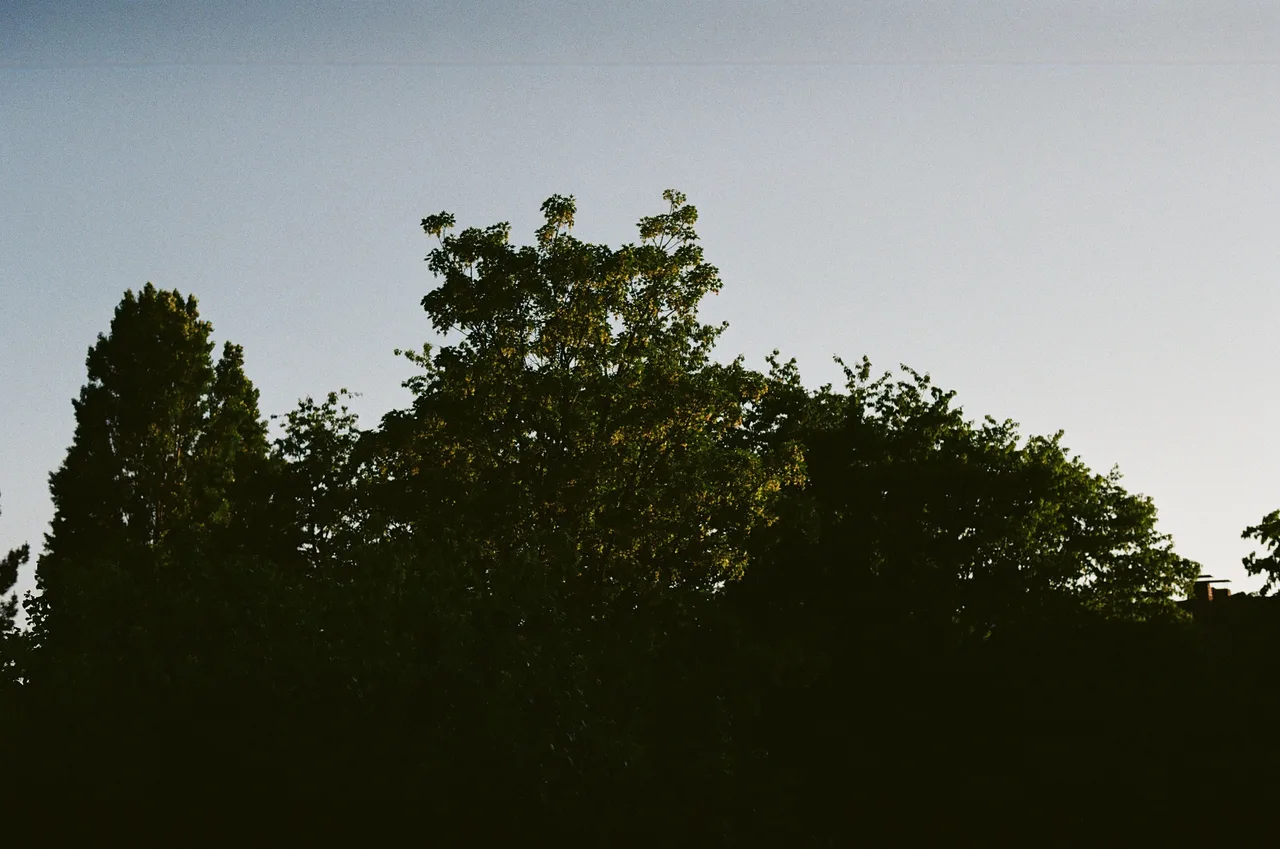 antonio-leica
