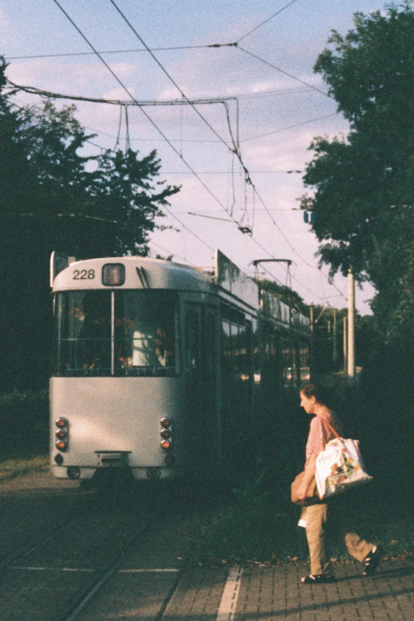 spaetzlebub_analog