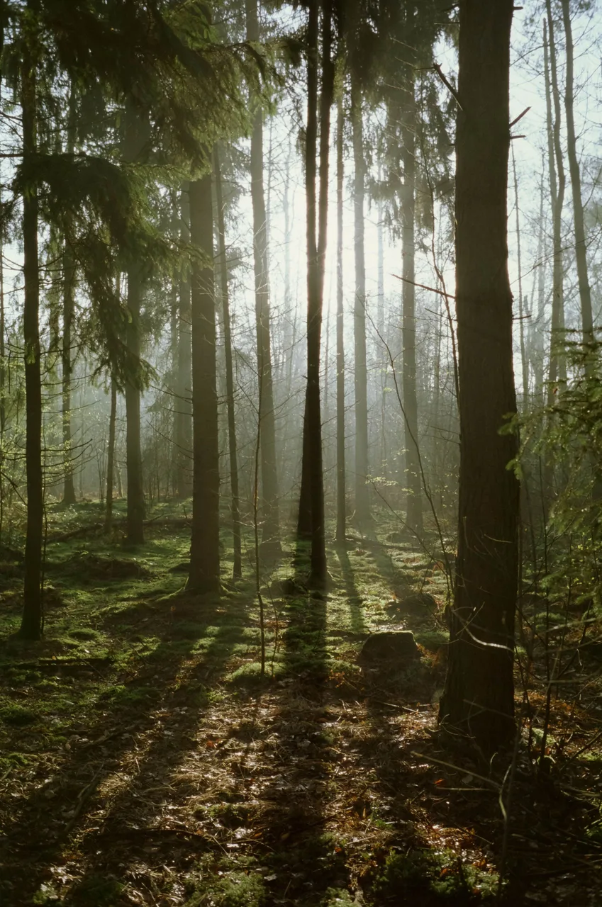 Leica M6 TTL · Fuji Provia 100F