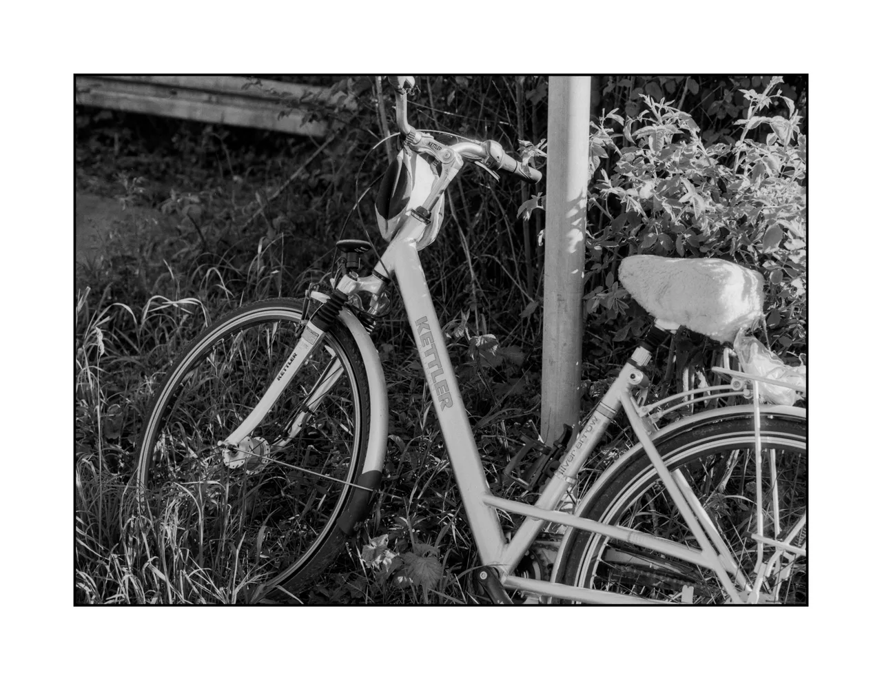 yf.analog