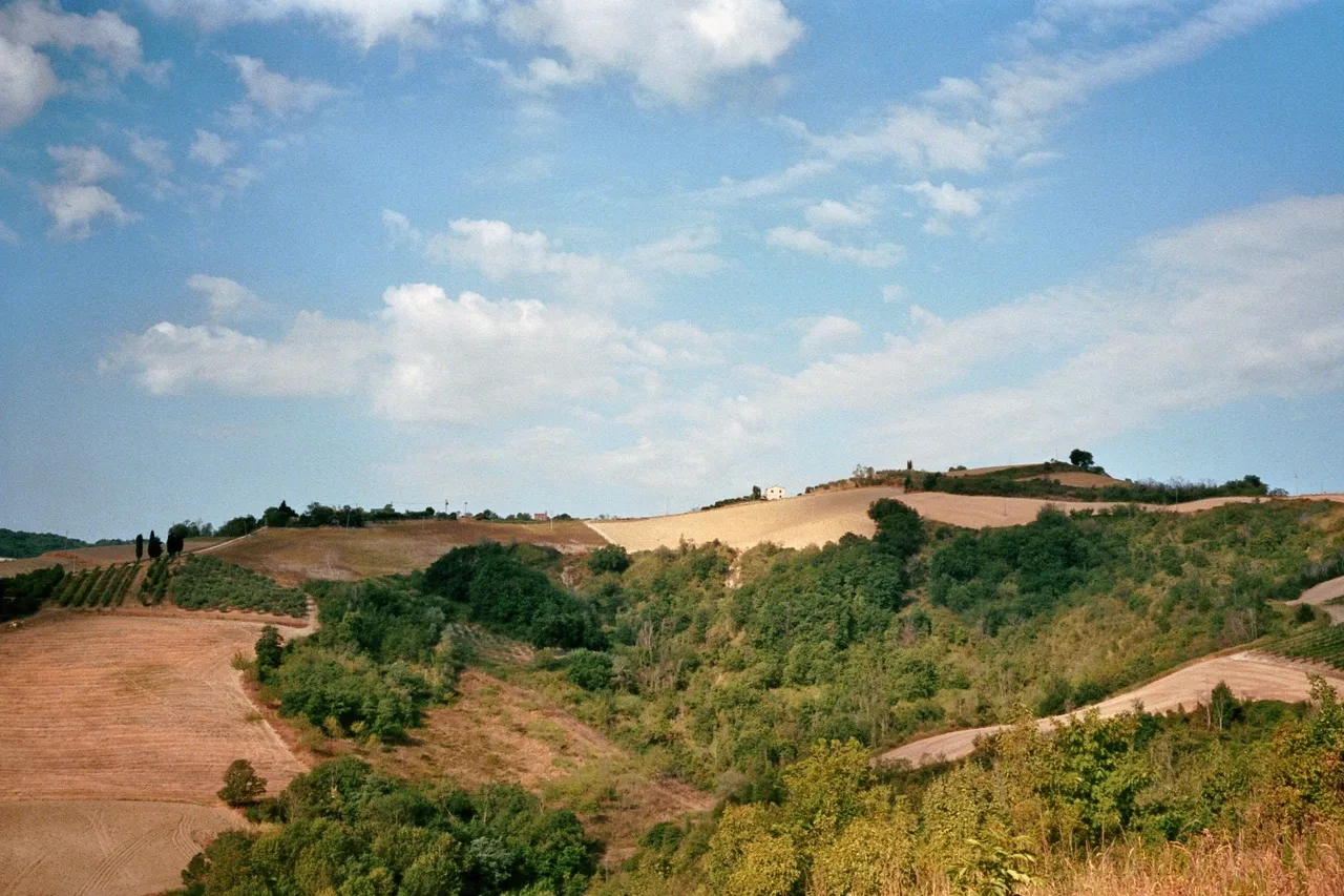 steffenbinder