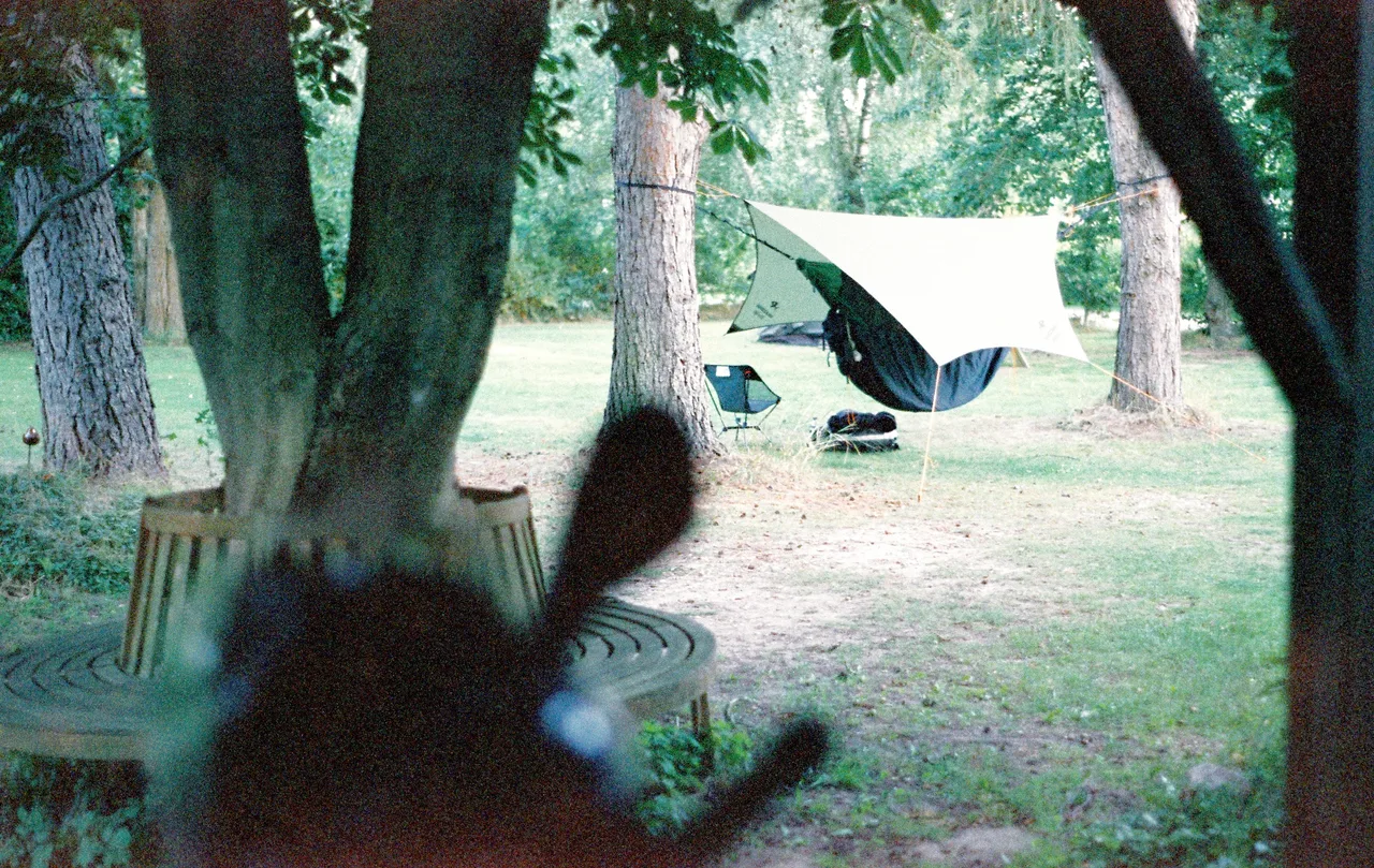 schmitti