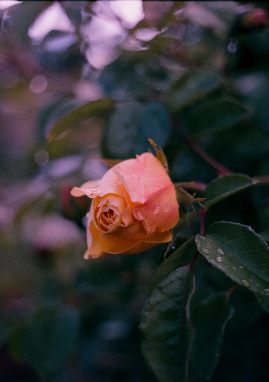 then_three_more