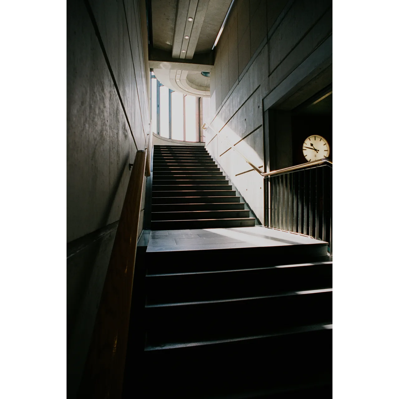 79_analog