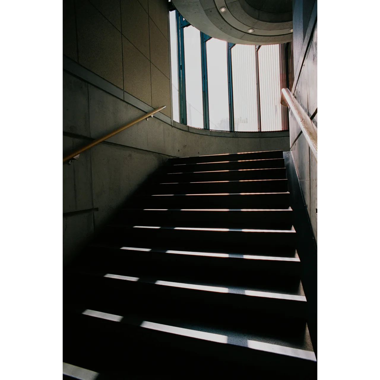 79_analog