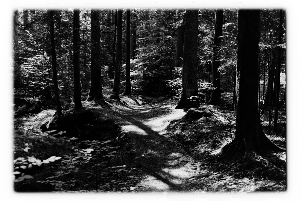 Analognature