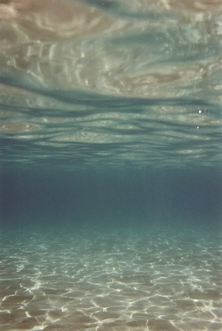 dala_analoguephoto