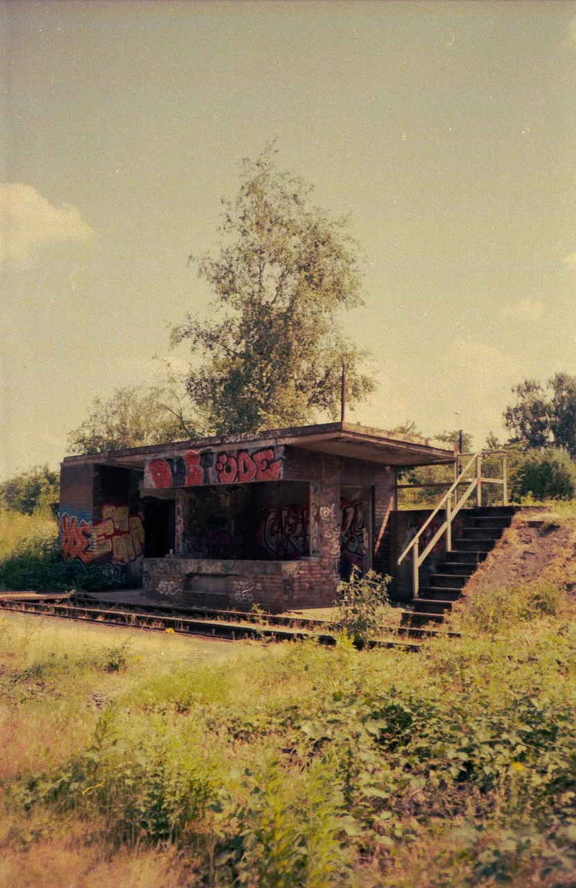 Ichbinetwasdoof