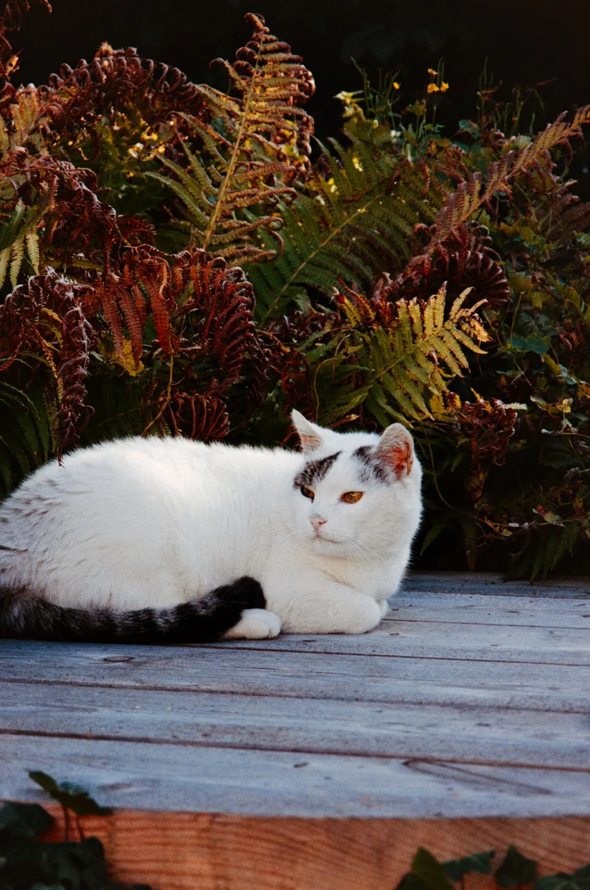 mieke_loves_grain
