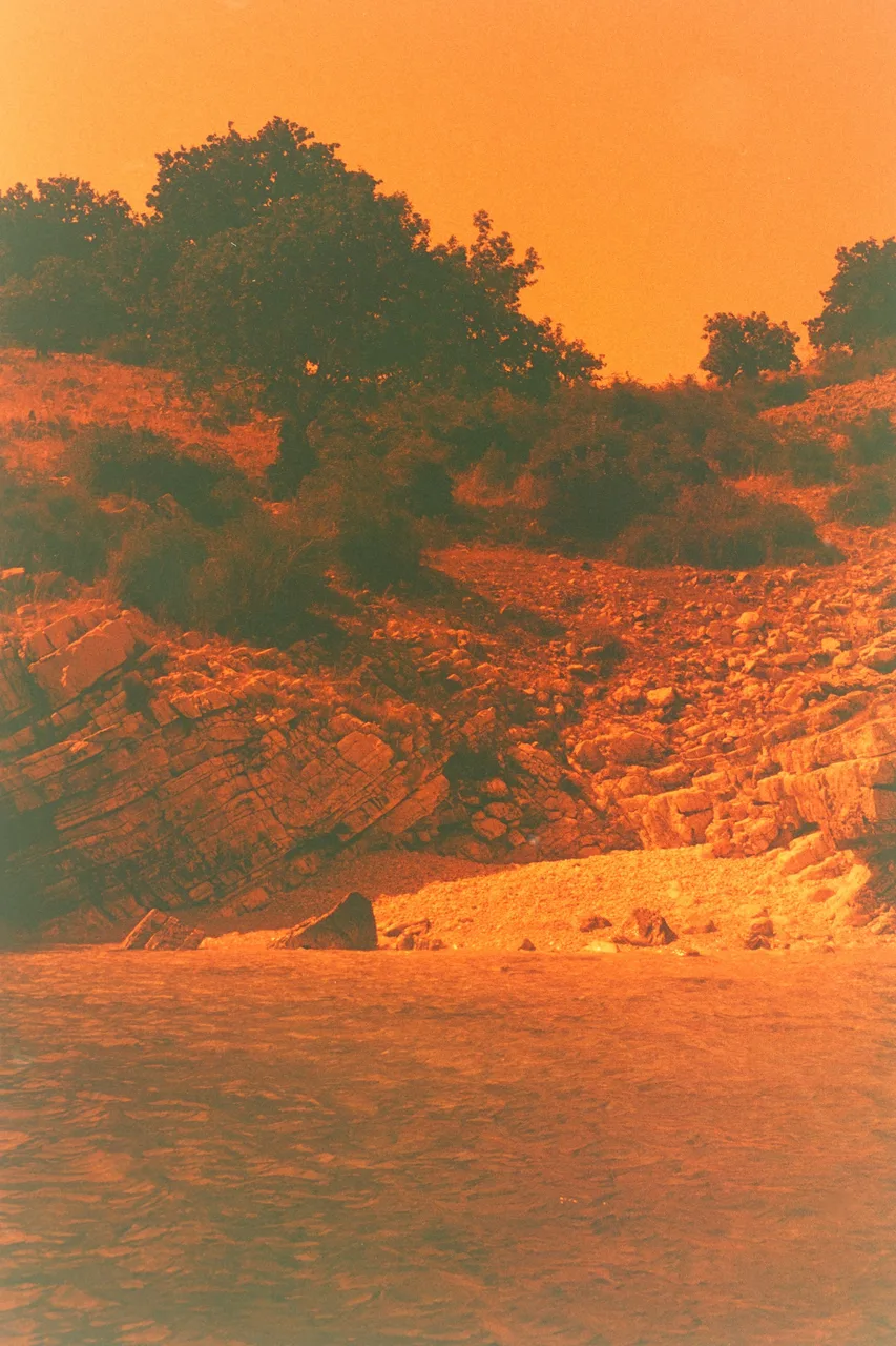 spaetzlebub_analog