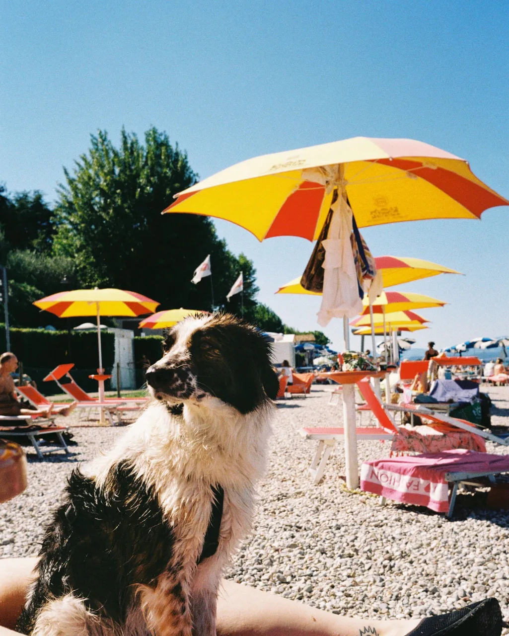 Olympus mju ii · Kodak Gold 200