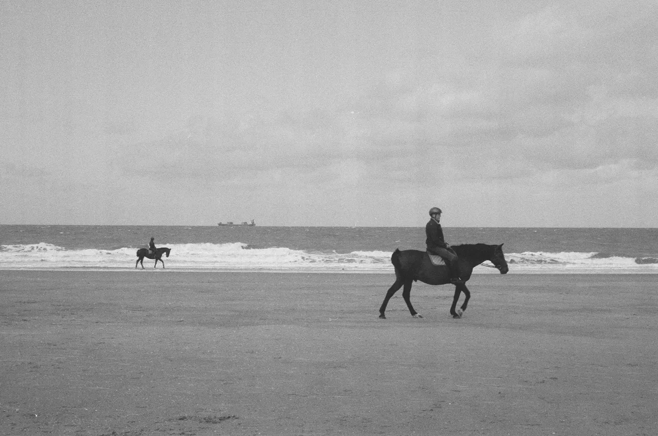 Dani