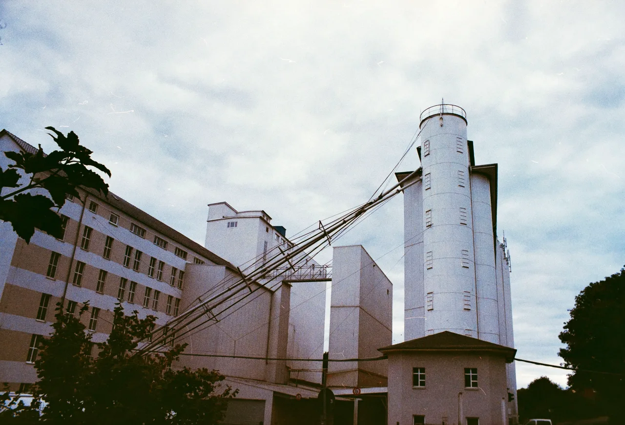 mieke_loves_grain