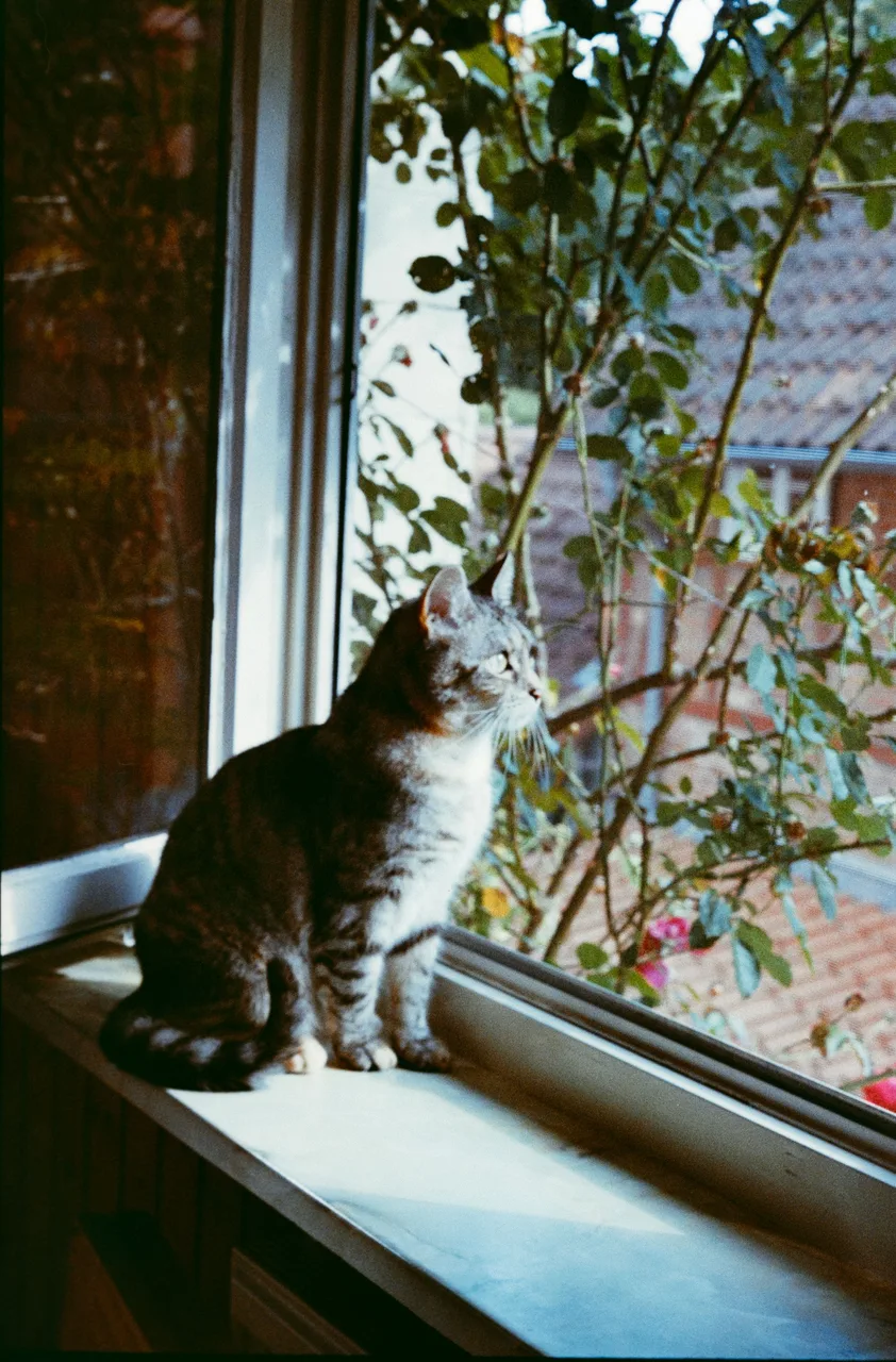 mieke_loves_grain