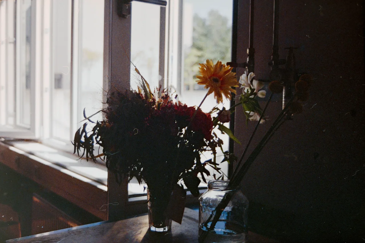 Minolta X-700 SET · Kodak Gold 200