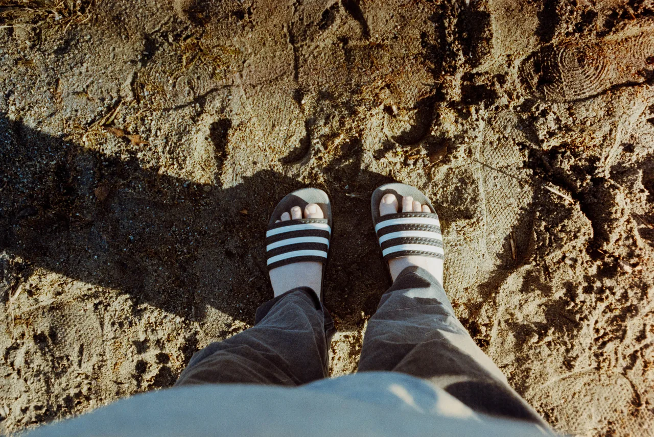 Minolta X-700 SET · Kodak Gold 200