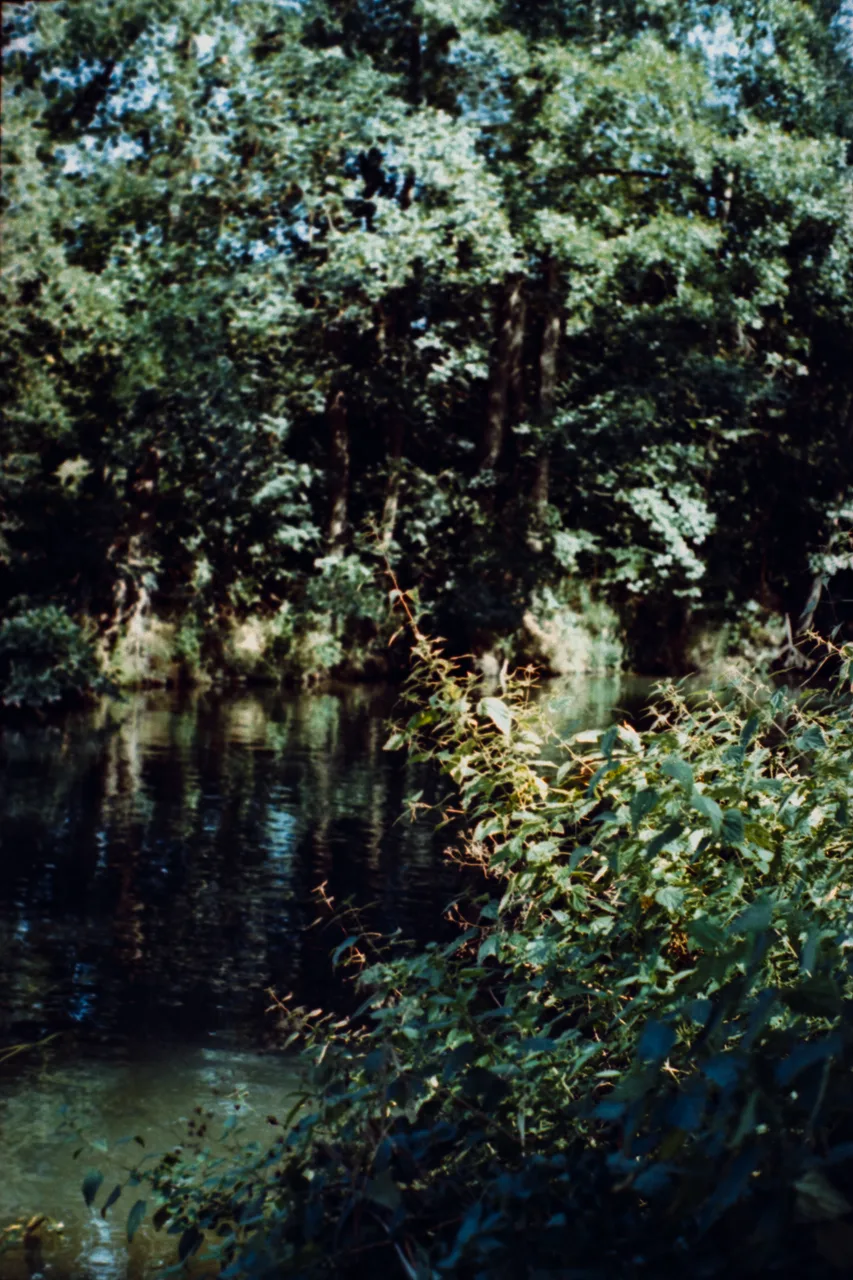 Minolta X-700 SET · Kodak Vision 250D
