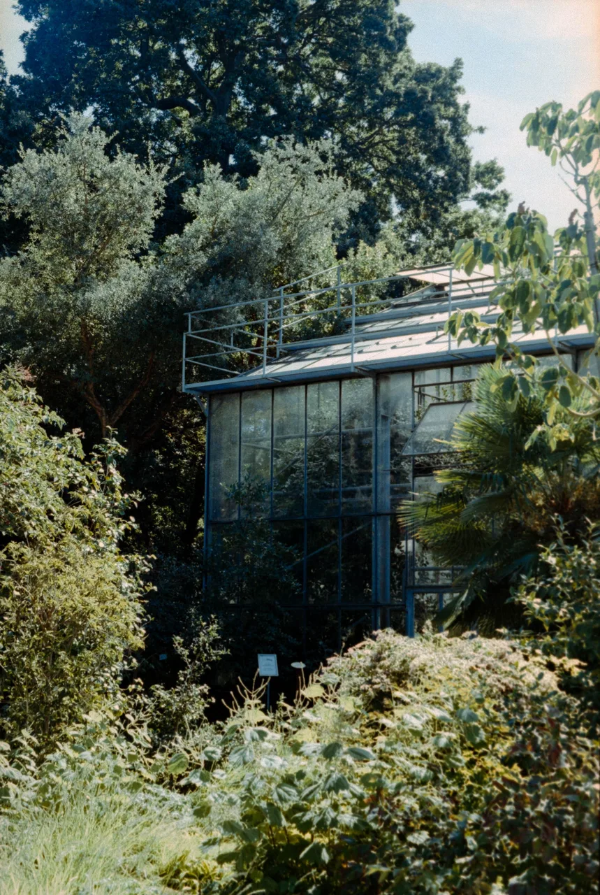 Minolta X-700 SET · Kodak ColorPlus 200