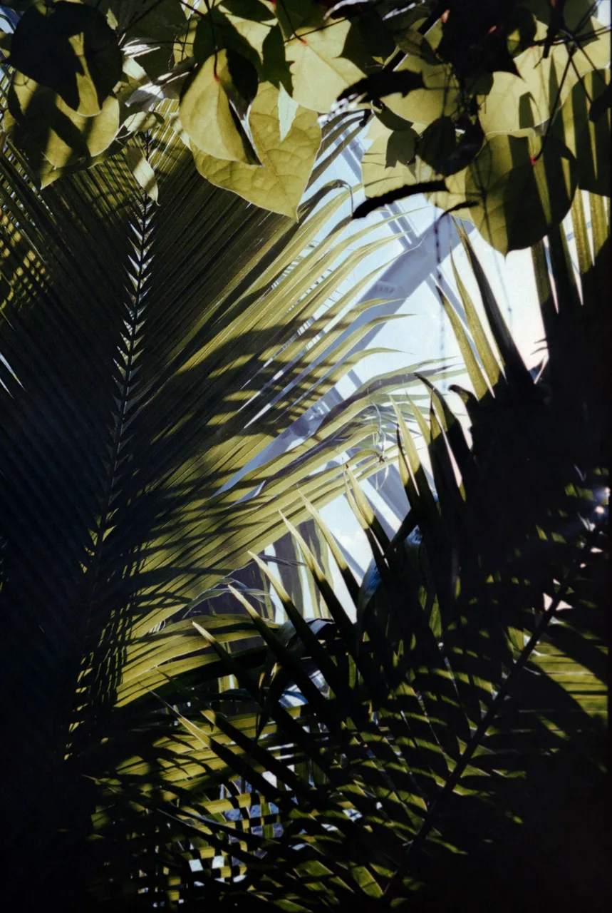 mieke_loves_grain