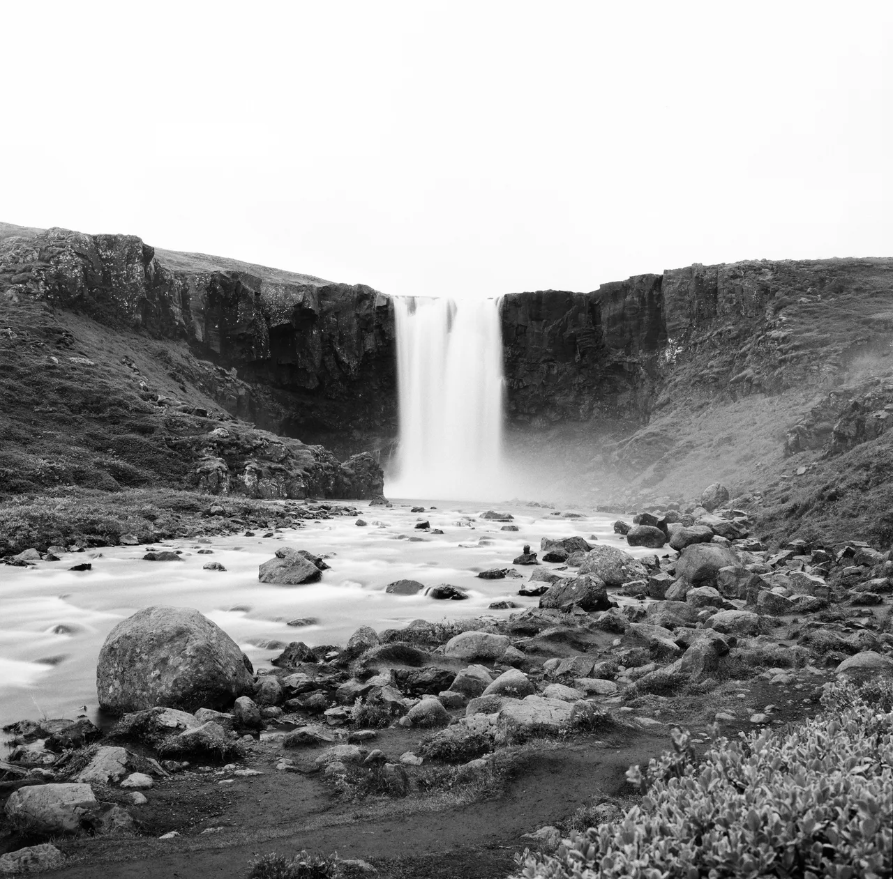 Hasselblad 500C/M · Kentmere 400