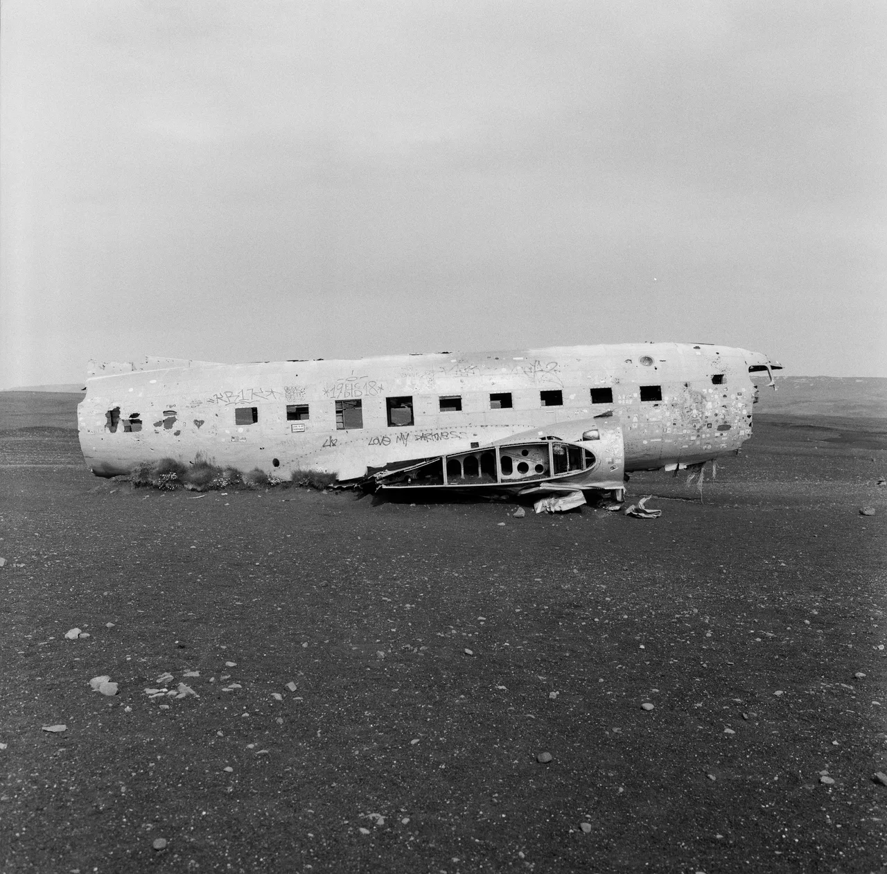 Hasselblad 500C/M · Kentmere 400