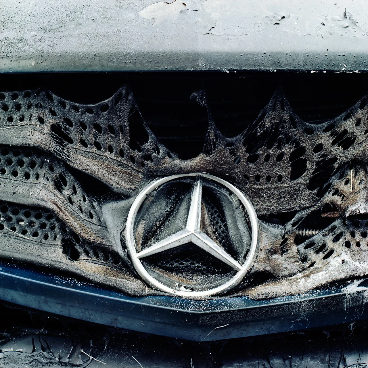 Hasselblad 500C/M · Kodak Gold 200